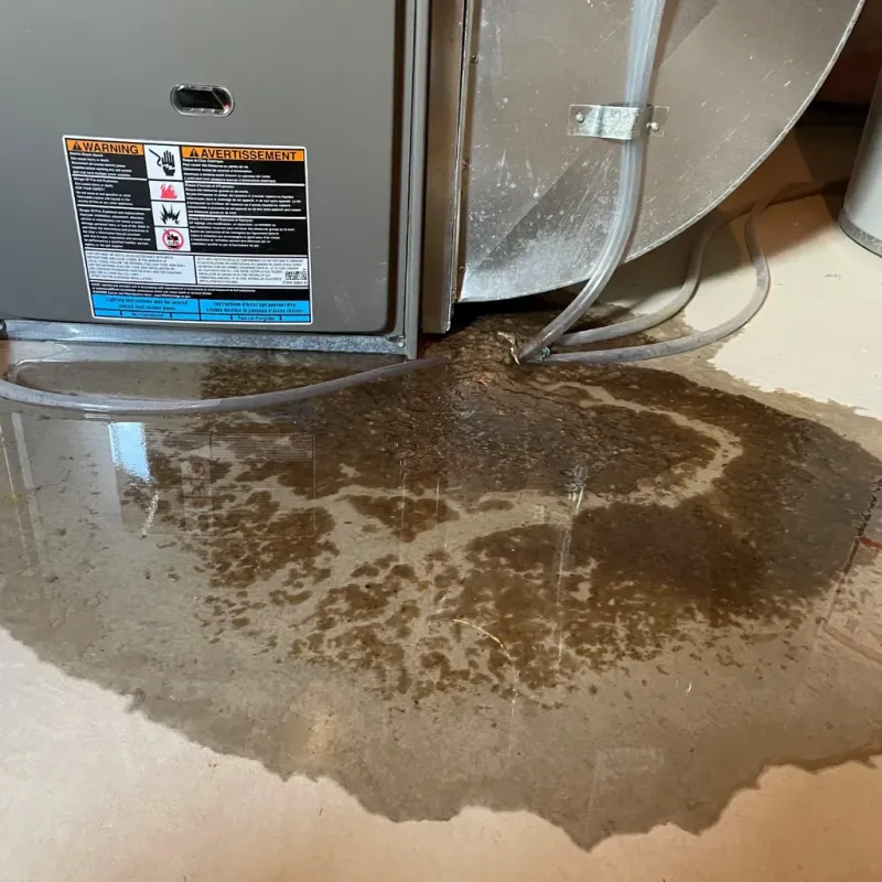 Appliance Leak Cleanup in Bisbee, AZ